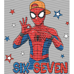 sixty seven-SS 311